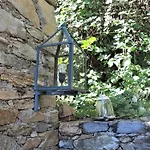 Rustico Gatto By Fewotessin Cugnasco
