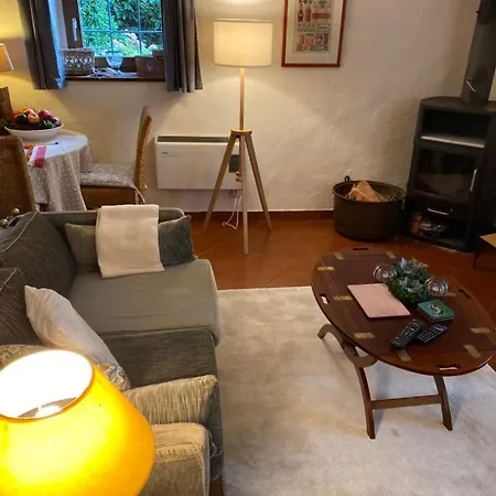 Rustico Gatto By Fewotessin Cugnasco