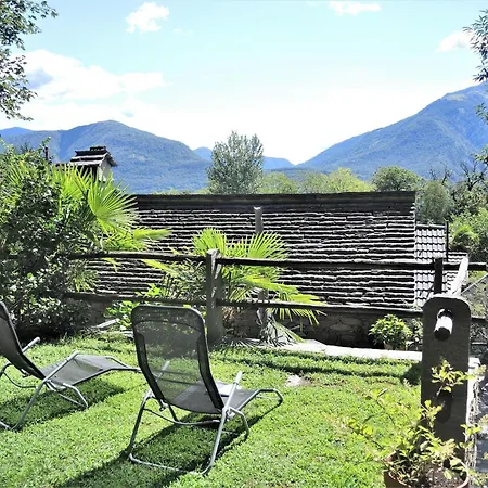 Rustico Gatto By Fewotessin Cugnasco