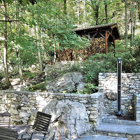 Rustico Gatto By Fewotessin