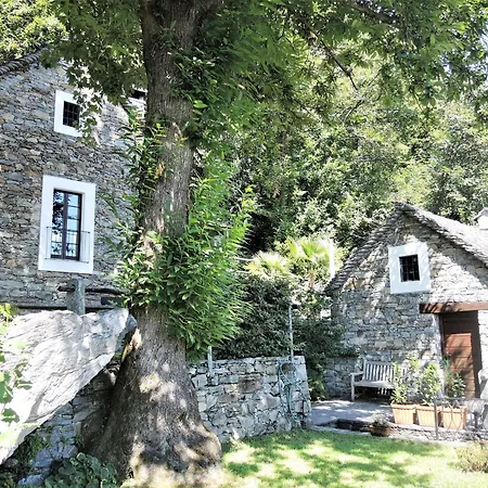 Rustico Gatto By Fewotessin * Cugnasco