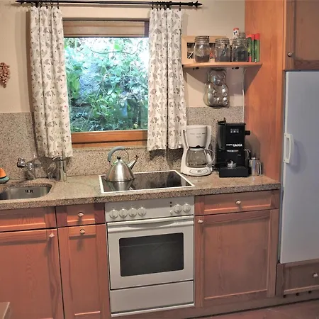 Rustico Gatto By Fewotessin