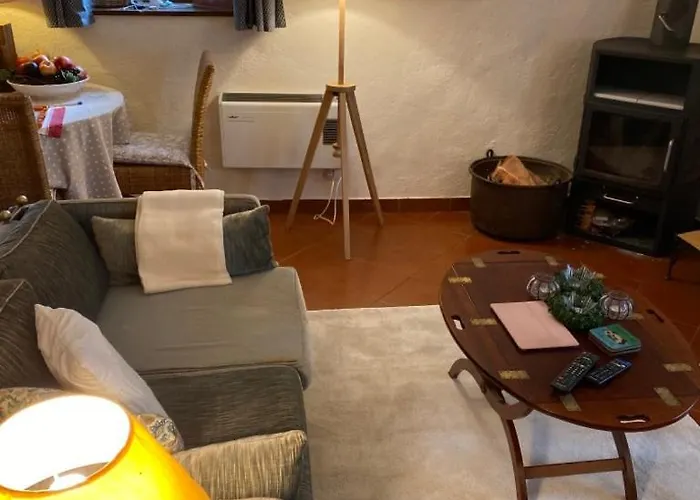 Rustico Gatto By Fewotessin Cugnasco