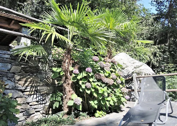 Rustico Gatto By Fewotessin *