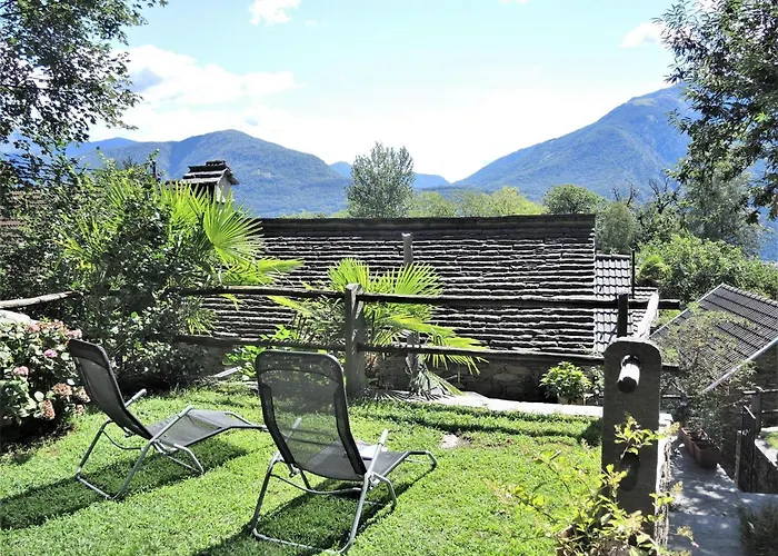 Rustico Gatto By Fewotessin Cugnasco