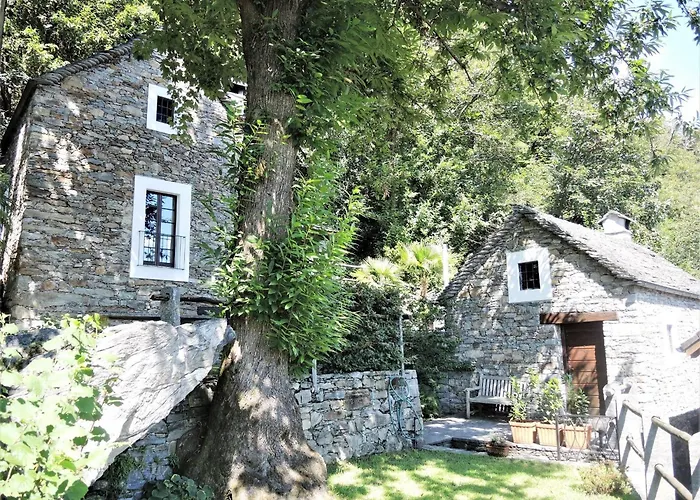 Rustico Gatto By Fewotessin * Cugnasco