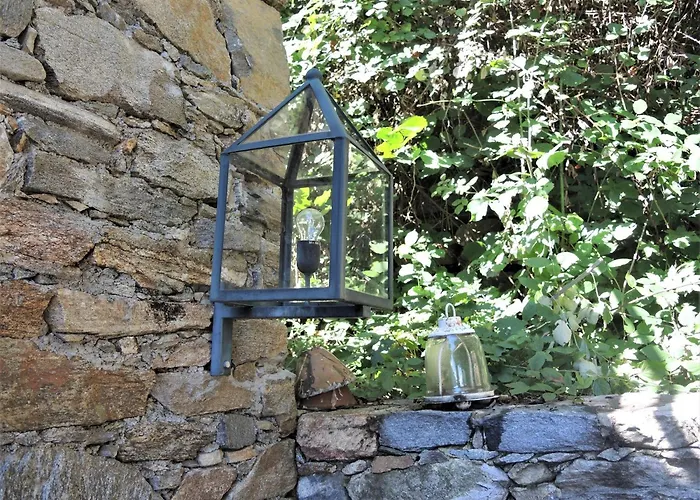 Rustico Gatto By Fewotessin Cugnasco