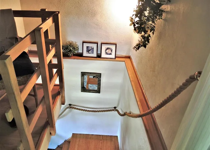 Rustico Gatto By Fewotessin Cugnasco